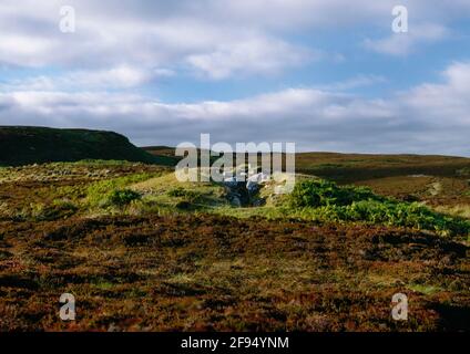 Vue N du Cairn of Get Double-Horned Néolithique tombeau à chambered, Caithness, Écosse, Royaume-Uni, montrant la piste, le passage d'entrée et la chambre funéraire Banque D'Images
