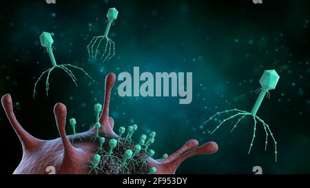 Les virus bactériophages attaquent et tuent les bactéries, les maladies infectieuses, illustration 3d. Concept médical. Banque D'Images