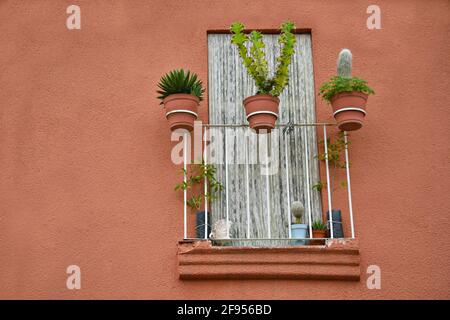 Maison coloniale mur en stuc de terre cuite avec une fenêtre et un balcon en fer fait à la main balustrade avec pots en argile à Santiago de Querétaro, Mexique. Banque D'Images