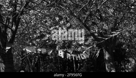 Triste Fete D Anniversaire Pendant Le Confinement En Cas De Pandemie Du Coronavirus Joyeux Anniversaire Decoration Sous Les Arbres En Fleurs Personne Fete Gatee Noir Blanc Bleu Photo Stock Alamy