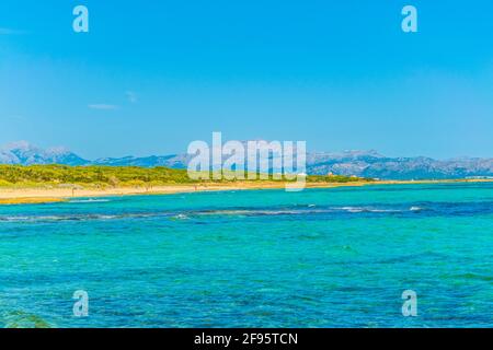 Playa s'Arenal d'en Casat à Majorque, Espagne Banque D'Images