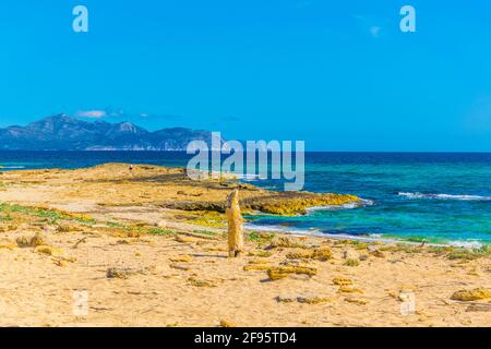 Playa s'Arenal d'en Casat à Majorque, Espagne Banque D'Images