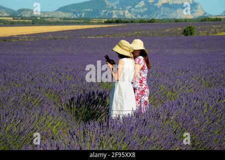 Couple de touristes chinois féminins regardant les selfies à Lavender Champ Valensole plateau Provence France Banque D'Images