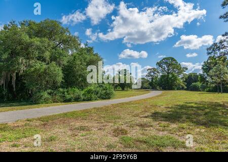 Sentier pavé curving traversant la zone naturelle de Pine Island Ridge - Davie, Floride, États-Unis Banque D'Images