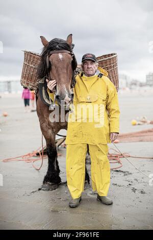 Pêcheurs de crevettes à cheval, Belgique Banque D'Images