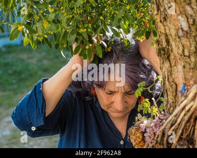 Femme adulte sénior près d'un arbre aimé et d'une plante de GUI Banque D'Images