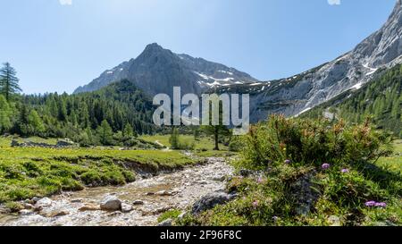 Kohlerboden, Halleranger, ruisseau de montagne, source Banque D'Images