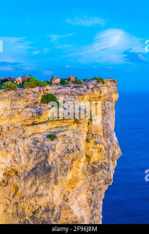 Vue au coucher du soleil sur les falaises de Ta Cenc à Gozo, Malte Banque D'Images