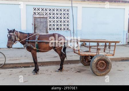 Cheval attendant avec son chariot dans le village de Vinales, Cuba Banque D'Images