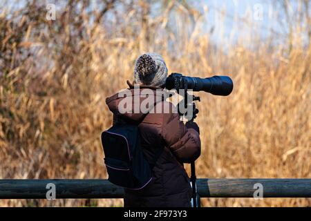 Photographe d'oiseaux Prenez des photos avec un appareil photo et un téléobjectif, Laguna di Marano Banque D'Images