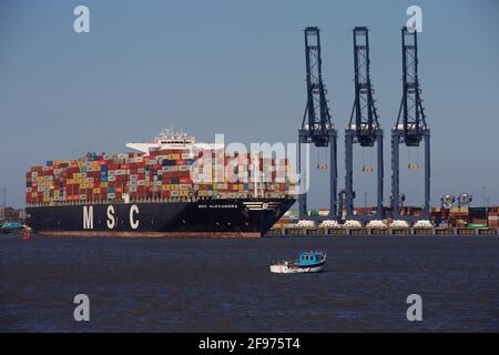 Navire-conteneur MSC Alexandra accostage au port de Felixstowe, Suffolk, Royaume-Uni. Banque D'Images