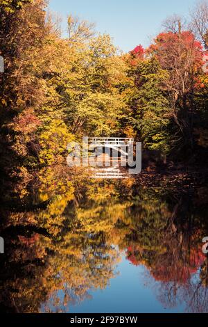 Un lac calme entouré d'arbres aux couleurs du début de l'automne avec un court pont blanc traversant un lac. Prise au parc Jean-drapeau de Montréal, à Montreua Banque D'Images