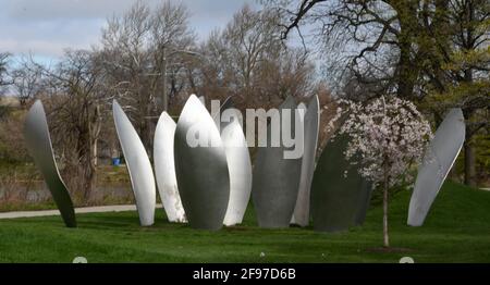 Chicago, Illinois, États-Unis. 16 avril 2021. Yoko Onoâ‚ â„ â s Metal Sculpture SkyLanding (alternativement orthographié Sky Landing), est exposé sur l'île boisée à Jackson Park à Chicago, le vendredi 16 avril 2021. La sculpture faite de 12 pétales en acier inoxydable, chacun de 12 pieds de haut, a été dévoilée en 2016. (Image de crédit : © Mark HertzbergZUMA Wire) Banque D'Images