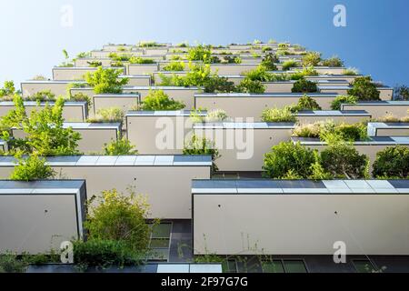 Bosco Verticale Green Skyscrapers à Milan, Lombardie, Italie, Europe Banque D'Images