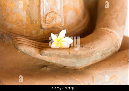 Laos, Vientiane, statue dans le temple Vat Sisaket, statue, détail, main, fleur, Banque D'Images