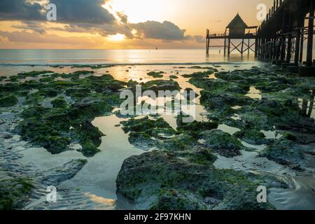 Magnifique lever du soleil et un pont en bois ou jetée menant à un restaurant / bar appelé Sansibar à la plage de Jambiani, Zanzibar, Tanzanie, Afrique à marée basse avec des roches vertes visibles dans l'eau Banque D'Images