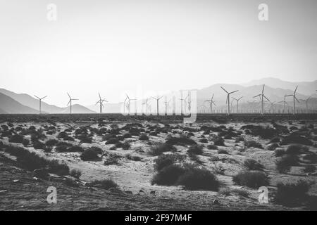 Plan noir et blanc de turbines Windmills pour la production d'énergie électrique, près de Palm Springs, Californie, Etats-Unis. Simple d'énergie propre Banque D'Images