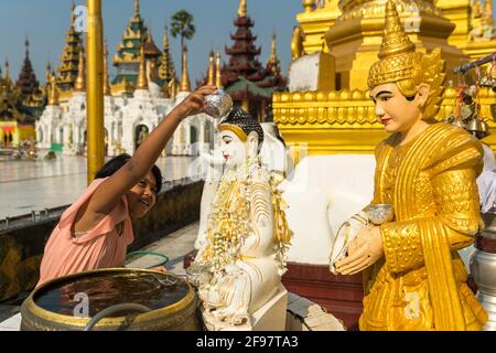 Myanmar, Yangon, la Pagode Shwedagon, filles, rituel Banque D'Images