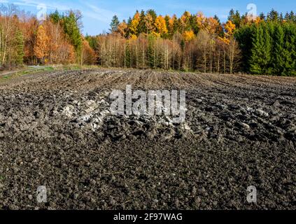 Champ fraîchement labouré en automne, Bavière, Allemagne, Europe Banque D'Images