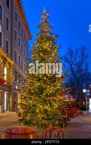 Sapin de Noël illuminé de nuit sur Brienner Strasse, Munich, haute-Bavière, Bavière, Allemagne, Europe Banque D'Images