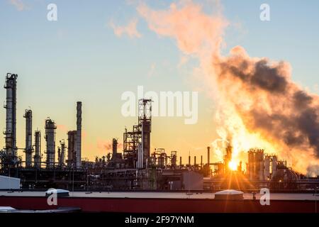 Schwechat, raffinerie OMV, colonne de fractionnement, vapeur, coucher de soleil à Donau, Niederösterreich / Basse-Autriche, Autriche Banque D'Images