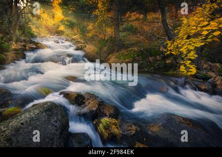 Paysage de rivière en forêt d'automne avec des rayons du soleil à Guadarrama national Banque D'Images