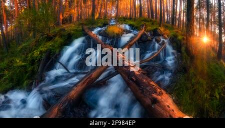 Arbres tombés au-dessus de la cascade de la rivière avec sunstar dans la forêt nationale stationnement Banque D'Images