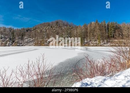 Alpsee surgelé en hiver, Schwangau, Füssen, Allgäu Alpes, Allgäu, Bavière, Allemagne, Europe Banque D'Images