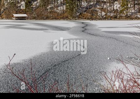 Alpsee surgelé en hiver, Schwangau, Füssen, Allgäu Alpes, Allgäu, Bavière, Allemagne, Europe Banque D'Images