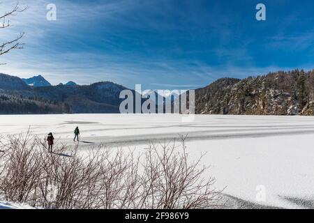 Alpsee surgelé en hiver, Schwangau, Füssen, Allgäu Alpes, Allgäu, Bavière, Allemagne, Europe Banque D'Images