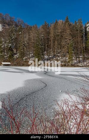 Alpsee surgelé en hiver, Schwangau, Füssen, Allgäu Alpes, Allgäu, Bavière, Allemagne, Europe Banque D'Images