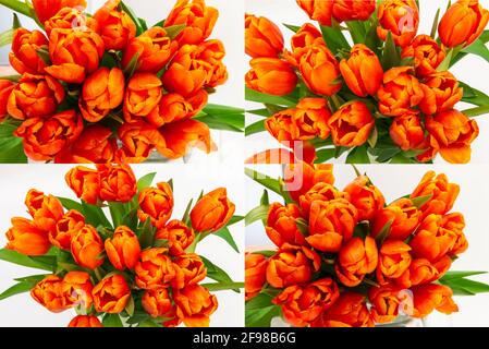 Quatre bouquet de tulipes orange Banque D'Images