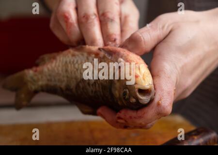 nettoyage et coupe du poisson frais. Banque D'Images