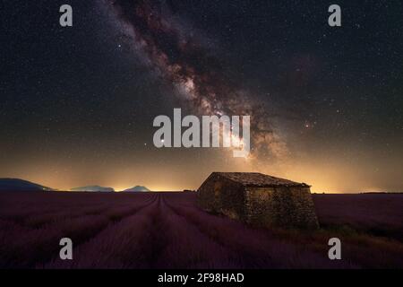 Milky Way au-dessus d'une hutte en pierre au milieu de Un champ de lavande en Provence Banque D'Images