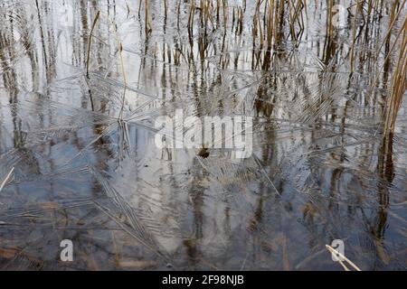 Lac, glace, formation Banque D'Images