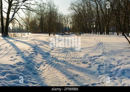 Petite rivière étroite gelée dans le parc de la ville de Luckenwalde, empreintes de pas dans la neige des gens Banque D'Images