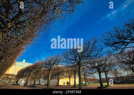 Les premières zones de terre à être développées à Peterhof ont été les jardins formels autour de Monplaisir et Marly, une partie du parc inférieur. La terre a excavé t Banque D'Images