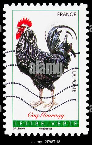 MOSCOU, RUSSIE - 4 NOVEMBRE 2019 : le timbre-poste imprimé en France montre le couvreur de Gournay (Gallus gallus domesticus), série de couvreurs français, vers 2016 Banque D'Images