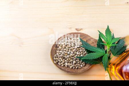 Graines de cannabis en huile de cuillère en bois et feuilles de chanvre riches dans les protéines et les graisses saines Banque D'Images