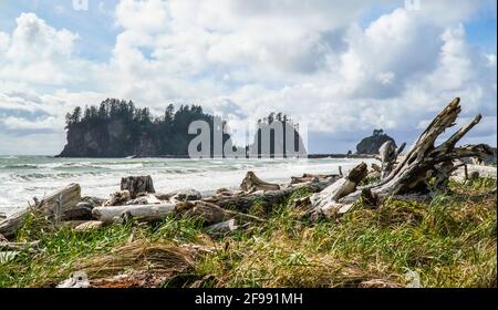 Incroyable plage de la Push dans la réserve indienne Quileute Banque D'Images