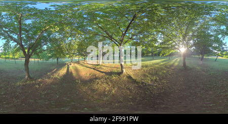 Vue panoramique à 360° de Forêt et parc à Ansan