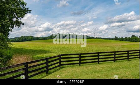 Ferme à la fourche de Leipers dans le Tennessee - LEIPERS FORK, TENNESSEE - Banque D'Images