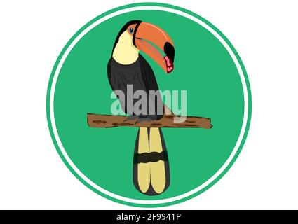 Oiseau Hornbill debout sur la branche de la conception d'arbre pour le logo Illustration vectorielle Illustration de Vecteur