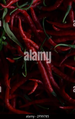 Des tas de piments rouges sur le marché. Banque D'Images