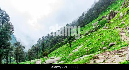 Vue sur le parcours de randonnée de Triund à travers un paysage verdoyant à Mcleodganj, Dharamsala, Himachal Pradesh, Inde. Le haut de la colline de Triund offre une vue sur Hi Banque D'Images