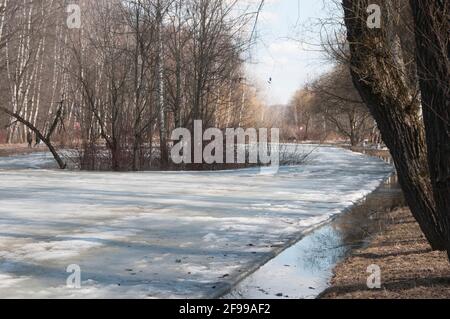 Paysage avec un étang dans le parc Sokolniki, Moscou Banque D'Images