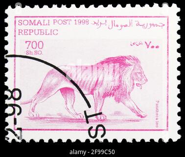 MOSCOU, RUSSIE - 4 NOVEMBRE 2019 : timbre-poste imprimé dans Cendrillon montre Lion (Panthera Leo), série Somalie, 700 SH - shilling somalien, vers 1998 Banque D'Images