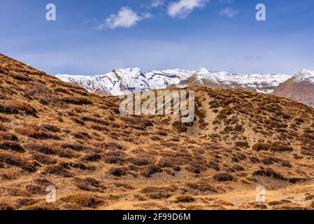 Paysage aride du désert froid de la vallée de la montagne de Spiti avec végétation d'herbe clairsemée de l'herbe de lapin, située en haute pluie ombragée région de l'Himalaya dans Banque D'Images