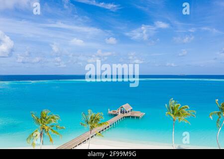 Baie de luxe et plage depuis la vue aérienne de dessus, plage incroyable, piscine sur l'île tropicale plage. Palmiers au soleil, magnifique océan bleu Banque D'Images