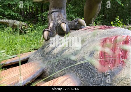 Allosaurus avec stegosaurus mort, modèles de dinosaures à Dinopark Münchehagen près de Hanovre. Banque D'Images